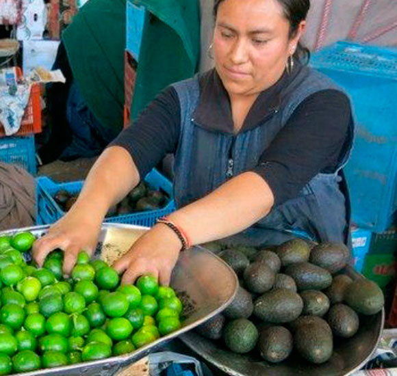 venta-limon